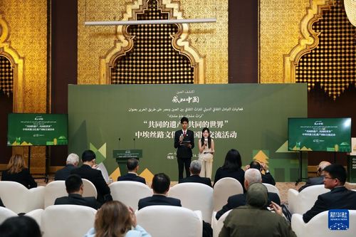 絲路古韻綻新聲 中埃絲路文化遺產(chǎn)國際交流活動在開羅成功舉辦